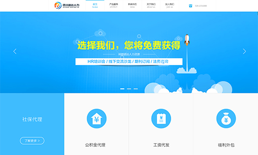 【网站定制开发|手机网站】