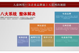 四川网站建设哪家强 哪家最专业 成都九鼎网络